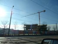 Imagine atasata: Vivalia Bulbuca - 2016.02.06 - 03.jpg